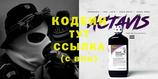 мдпв Осинники