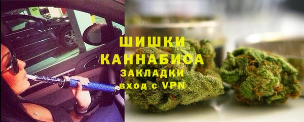 мдпв Осинники